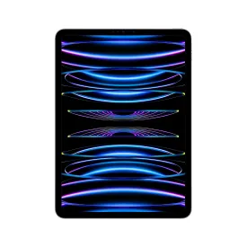 2022 11-inch iPad Pro Wi-Fi   Cellular 1TB - Silver (4th generation)