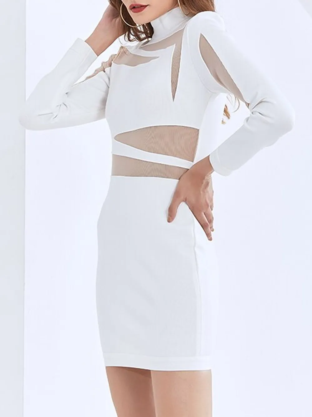 ALITA Mesh Slim Mini Dress