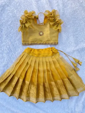 PRE ORDER : Golden Elegance: A Tissue Lehenga with Crop top