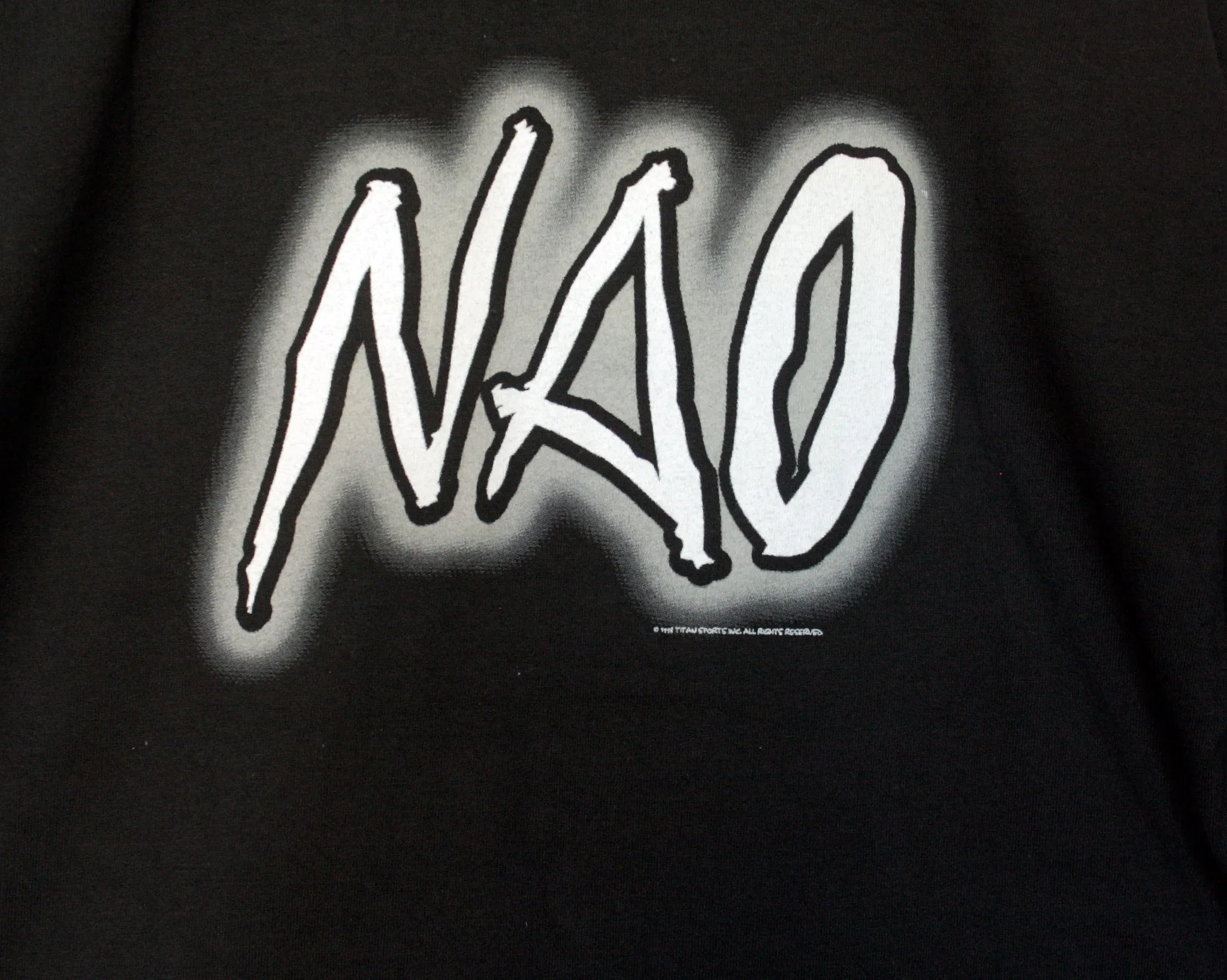 WWF NEW AGE OUTLAWS LADIES AND GENTLEMEN T-SHIRT LG